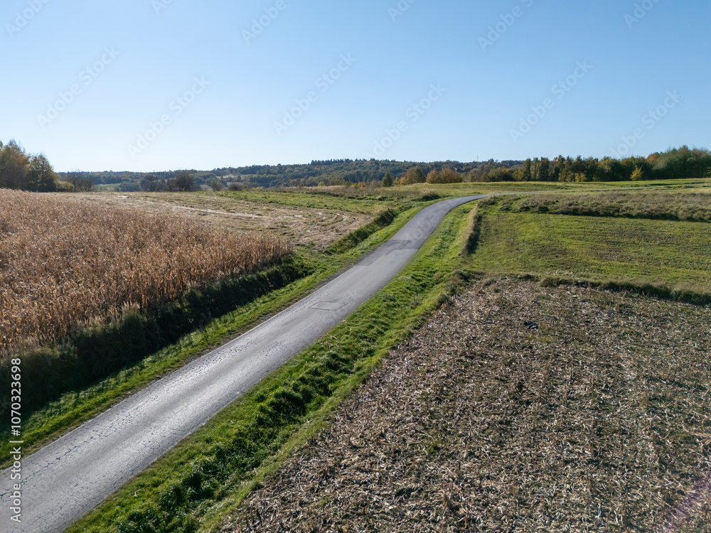 A serene country road cuts through vibrant fields under a clear blue sky. The landscape showcases the beauty of nature and agriculture in harmony. A serene country road cuts through vibrant fields under a clear blue sky. The landscape showcases the beauty of nature and agriculture in harmony.