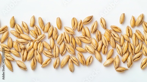 A captivating display of unhusked wheat grains is set against a clean white background, highlighting their natural textures and colors. photo