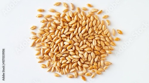 A delightful composition of unhusked wheat grains is beautifully displayed against a pristine white background. photo