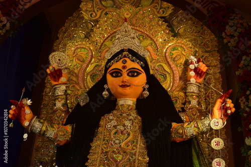 Jagadhatri Puja Chandannagar
 photo