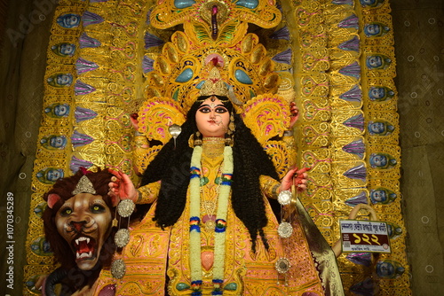 Photography Jagadhatri Puja Chandannagar
