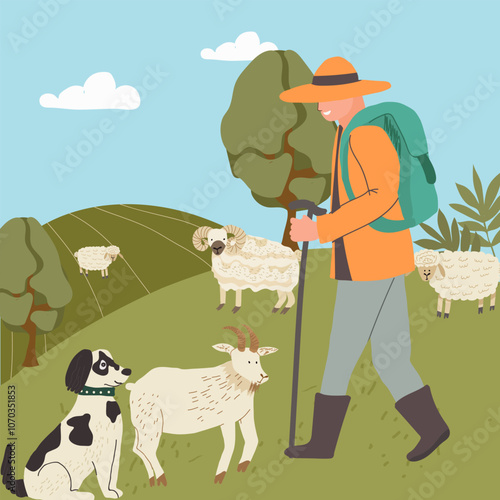 Hiker and Dog in Pastoral Landscape with Sheep