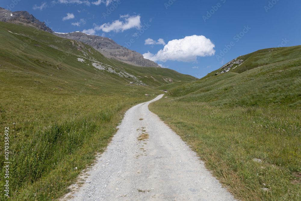 chemin de randonnée vide en altitude dans les Alpes en été