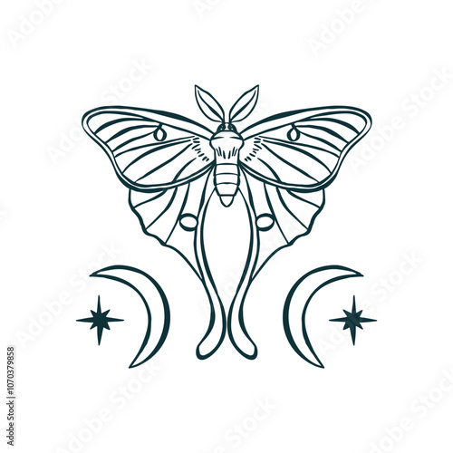 Luna moth hand drawn illustration isolated on white background. Celestial butterfly design
