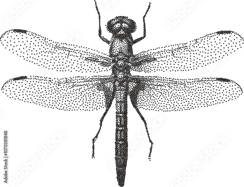 Grunge bitmap halftone stipple engraved effect dragonfly y2k punk collage design element