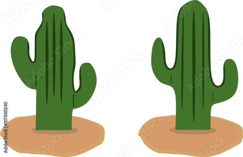 Different types of cactus in the vector