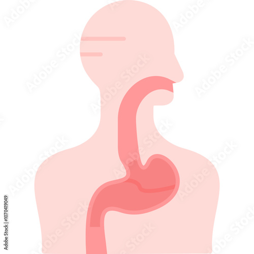 Digestive System Icon