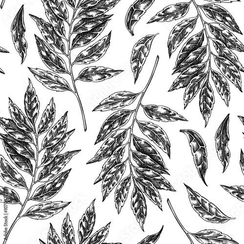 Curry plant seamless pattern. Kitchen spice sketches. Indian herbs and spices background. Hand-drawn vector illustration. NOT AI generated