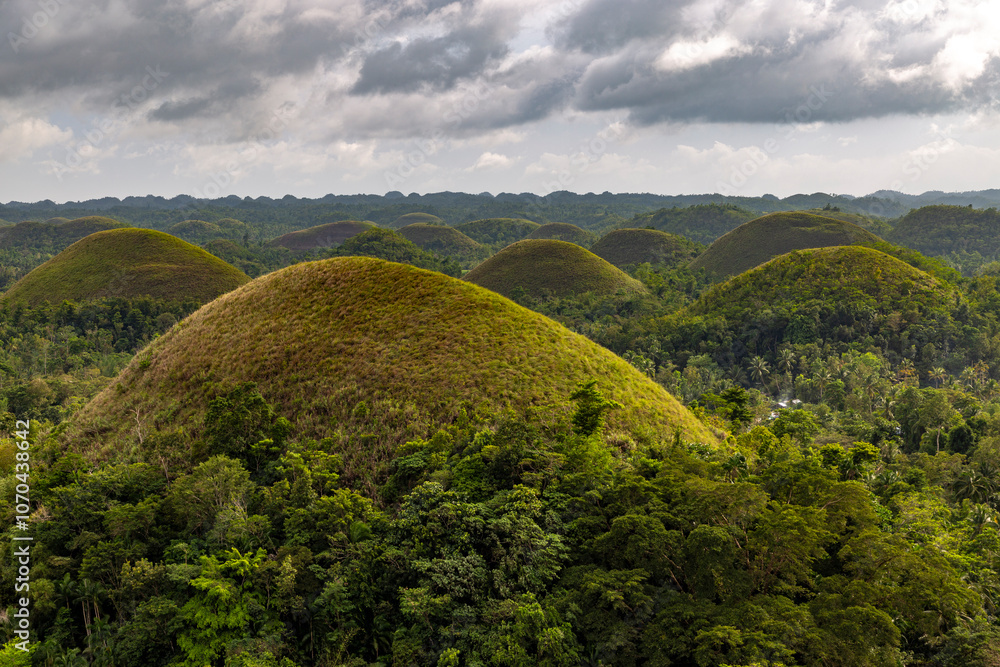 Obraz premium Chocolate hills in Bohol. Bohol island, Philippines 