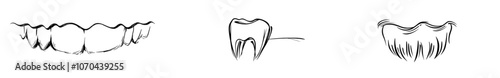 A cartoon cartoon of a healthy tooth with gums and a line pattern. This is a modern drawing silhouette icon with damage teeth or caries. Cracked teeth, mouth and dental, damaged. Strong enamel,