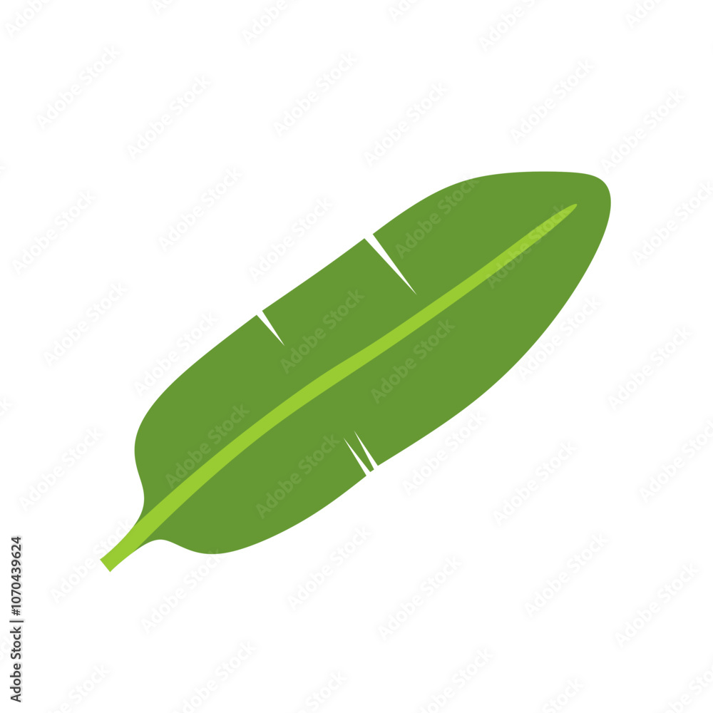 Banana leaf vector isolated on white background
Banana leaf vector isolated on white background
