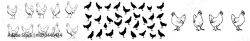 Set of silhouettes of chickens. Set of roosters and hens. Modern illustration.