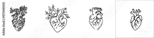 Anatomy sketch of human heart. A silhouette of a human heart with strokes in the middle. Modern illustration of human heart anatomy. Icon design illustrating human heart anatomy.