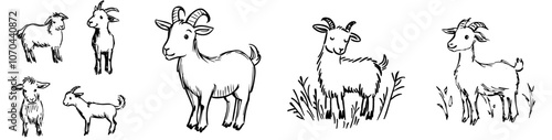An isolated hand-drawn drawing of a goat in modern monochrome.