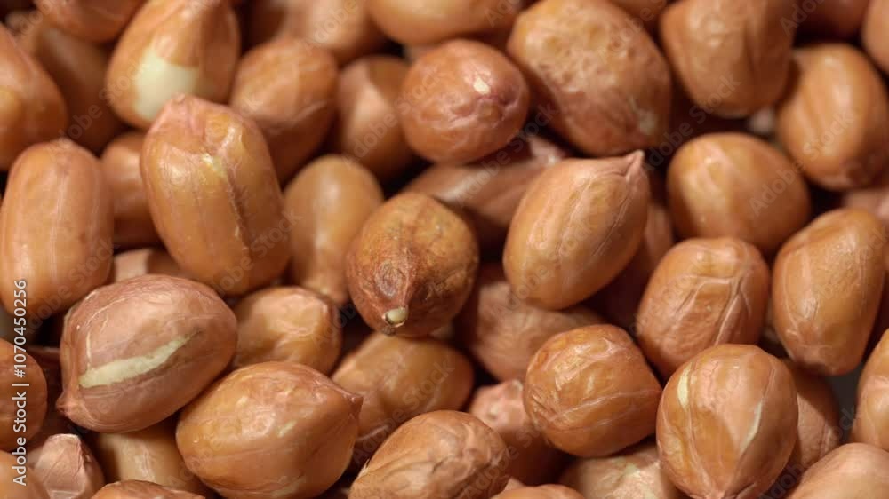Top view: Peanuts heap rotating with close up shot.
Rotating peanuts. Healthy vegan food concept. Group of peeled peanut. Rich harvest of tasty snack. Top view: Peanuts heap rotating with close up shot.
Rotating peanuts. Healthy vegan food concept. Group of peeled peanut. Rich harvest of tasty snack.