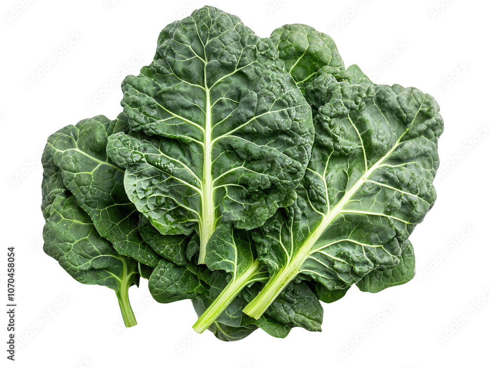 Fresh kale isolated on transparent background, png cut out Fresh kale isolated on transparent background, png cut out