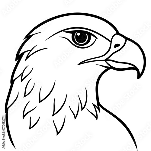 eagle head vector