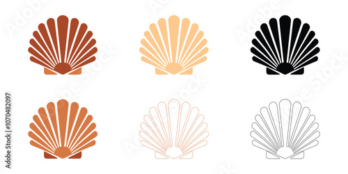 Detailed Sea Shell Vector Illustration