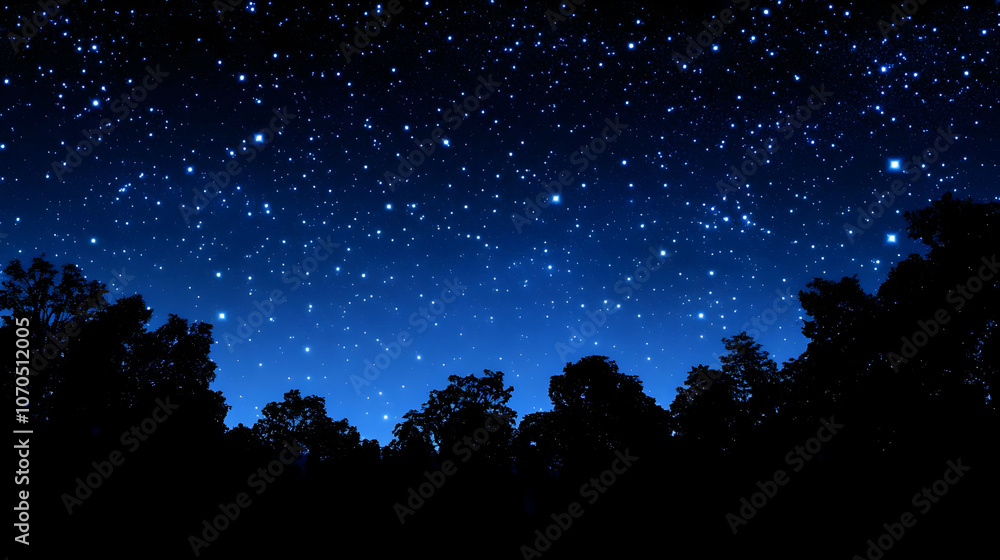 Silhouetted Trees Against a Night Sky Filled with Stars Silhouetted Trees Against a Night Sky Filled with Stars