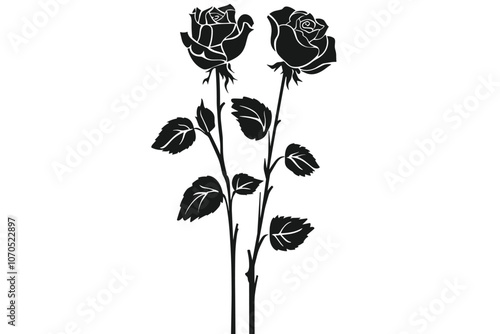 Silhouettes of two roses with detailed leaves and stems against a white background.