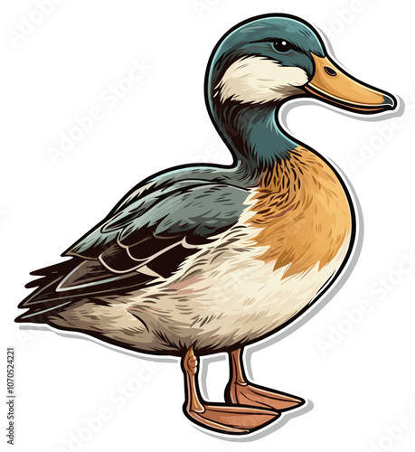 Cartoon sticker of Domestic duck over white background