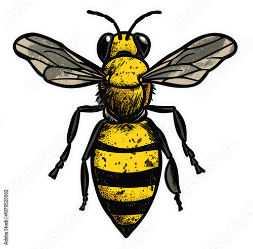 Colorful cartoon sticker of a bee over white background.