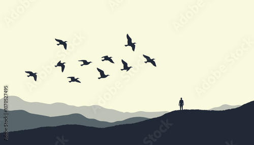 Silhouette of a person watching a flock of birds flying over distant hills under a pale sky.