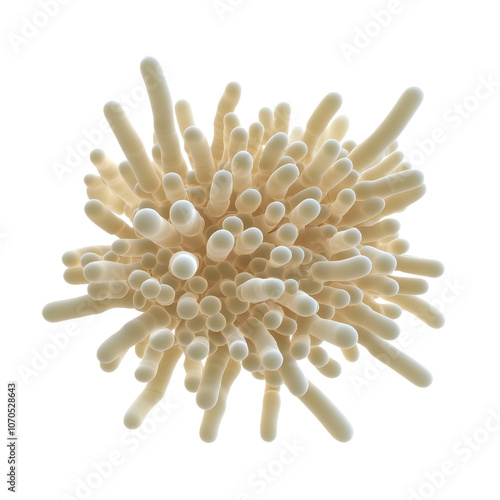 A cluster of elongated, tubular structures resembling coral, displaying a pale color and intricate arrangement.