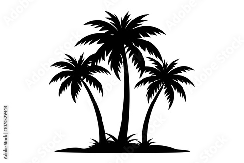 Set of palm tree black silhouette Vector illustration on a white background