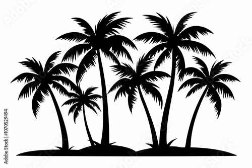 Set of palm tree black silhouette Vector illustration on a white background