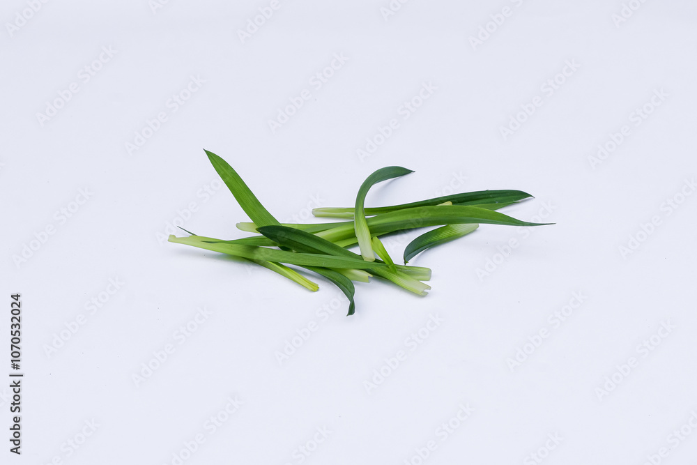 Pandan leaves (Pandanus amaryllifolius). Leaves are natural dyes and alternative ingredients for herbal medicine. Leaf texture. Food fragrance Pandan leaves (Pandanus amaryllifolius). Leaves are natural dyes and alternative ingredients for herbal medicine. Leaf texture. Food fragrance