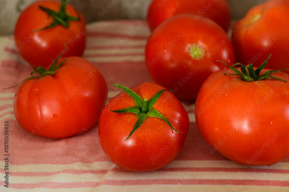 Freshly harvested tomatoes gathered on a soft cloth at a rustic kitchen table during the afternoon light Freshly harvested tomatoes gathered on a soft cloth at a rustic kitchen table during the afternoon light
