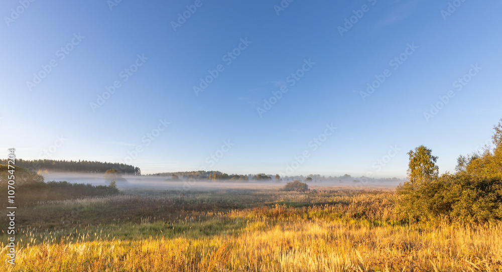 Fototapeta premium Field of grass with a foggy mist in the air