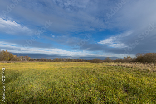 A field of grass with a blue sky in the background