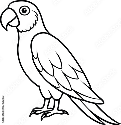 bird Vector Illustration