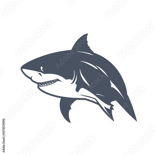 Shark head vector, Shark logo, regal, confident, sleek, dynamic, and professional feel