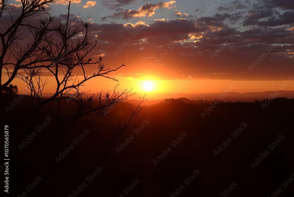 Fototapeta premium Illuminating dawn The sun rises casting a warm golden light on t