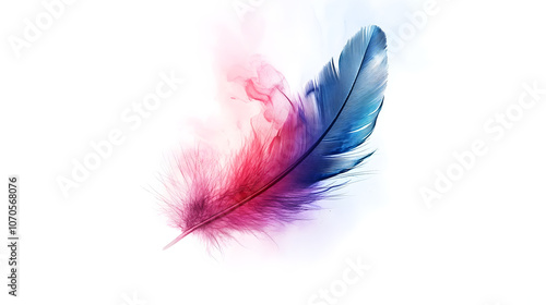 feather on white background