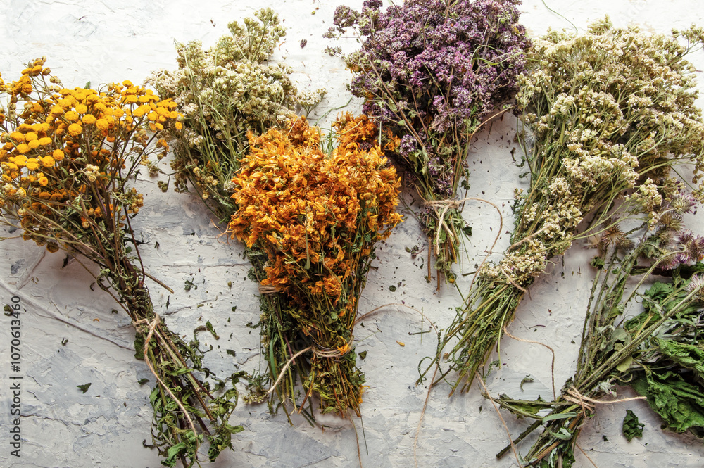 different wild medicinal dry herbs: white yarrow herb blossoming, yellow tansy herb, lilac marjoram\oregano, St. John's wort at white background