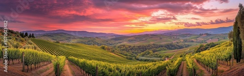 Vibrant sunset over a sprawling vineyard in Tuscany featuring lush rows of grapevines amidst rolling hills