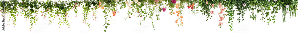Fototapeta premium Lush vibrant green foliage and cascading hanging vines forming an overhead natural floral backdrop Verdant organic botanical elements creating a fresh