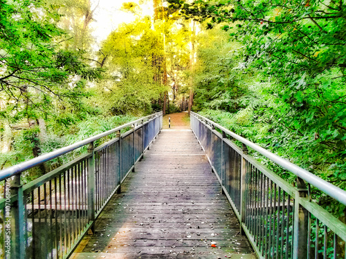 Obraz na płótnie Wander und Radweg Spur der Steine über eine Brücke w salonie