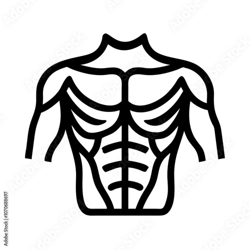 Muscle anatomy icon depicting the human torso and muscle structure no background