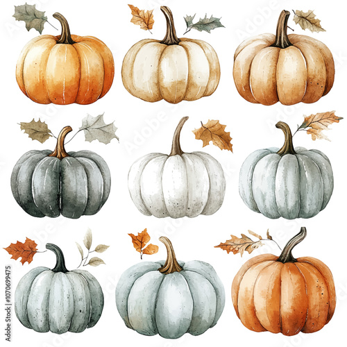 Watercolor painting of pumpkin isolated on a white background, pumpkin drawing vector Illustration.