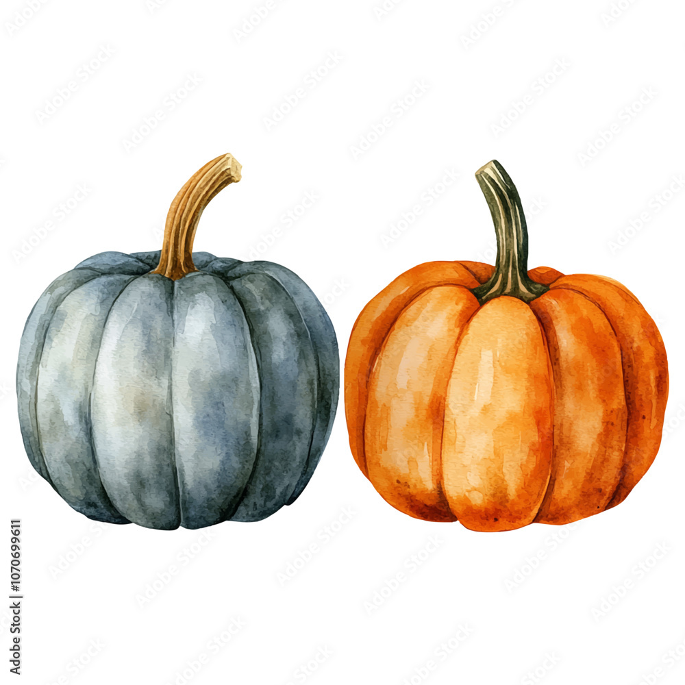 Watercolor painting of pumpkin isolated on a white background, pumpkin drawing vector Illustration. Watercolor painting of pumpkin isolated on a white background, pumpkin drawing vector Illustration.