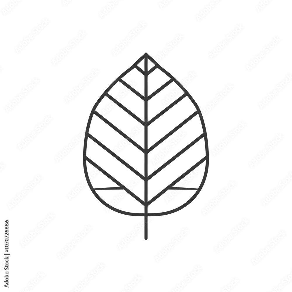Simple Line Drawing of a Leaf with Veins Simple Line Drawing of a Leaf with Veins