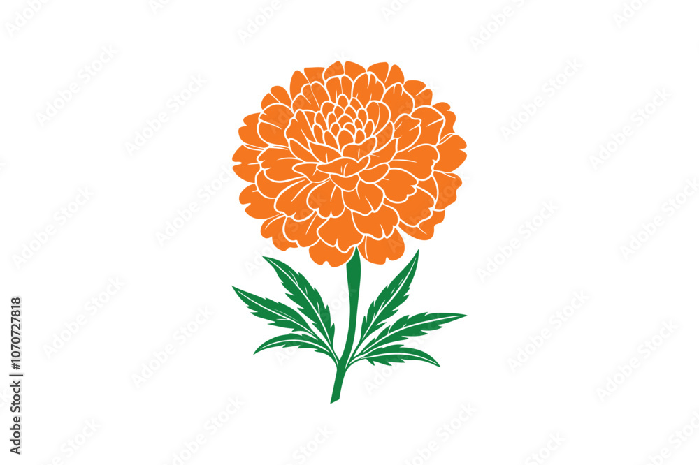 Marigold vector Bundle, Marigold Silhouette vector illustration Marigold vector Bundle, Marigold Silhouette vector illustration