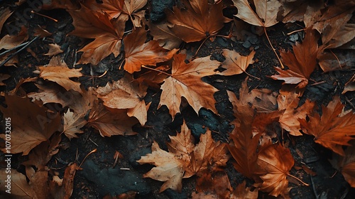 A close-up view of autumn leaves scattered on the ground, showcasing their warm colors and textures.