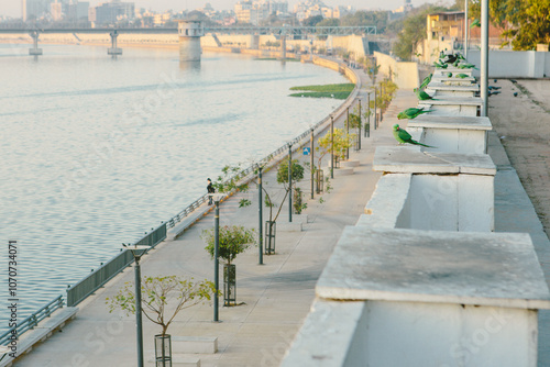 Photography The rose-ringed parakeet (Psittacula krameri) is a green parrot that is commonly found in Ahmedabad