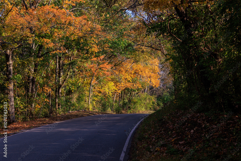 autumn backroad autumn backroad